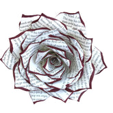 Paper Book Page Rose standalone small 3in natural tips