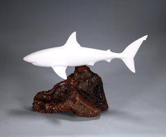 Pellucida resin Great White Shark sculpture by John Perry