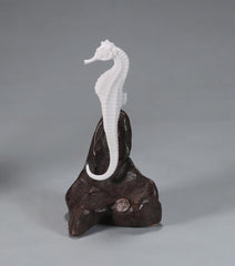 Pellucida resin seahorse with bisque-like finish