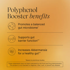 Akkermansia-based probiotic support