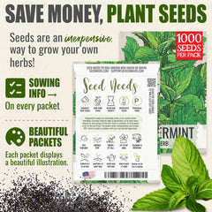 Peppermint seeds suitable for container gardening