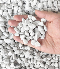 20 qt professional grade horticultural perlite packaging image
