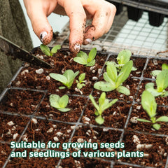 Perlite drainage and aeration for soil image