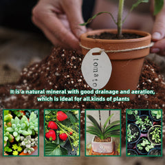 Perlite seed germination and propagation image