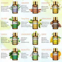 PHATOIL essential oils gift set 15 aroma varieties including Lavender and Eucalyptus