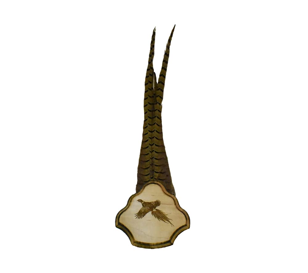 Pheasant Plaque- Standard Hardwood front engraving