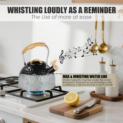 Whistling kettle for stove top in stainless steel