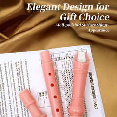 3 piece recorder set including cleaning rod bag fingering chart pink