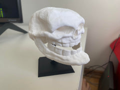 PLA skull figurine with showy stand