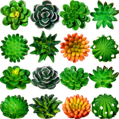 16 piece plant magnets for fridge in 3d cactus style