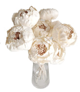Plawanature 10 Sola Flower diffuser pieces