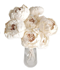 Plawanature 10 Sola Flower diffuser pieces