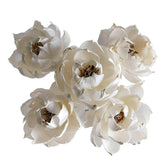 plawanature 5 sola flower diffuser set 3 inch heads