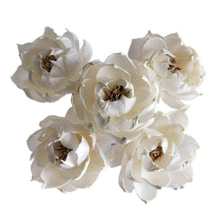 plawanature 5 sola flower diffuser set 3 inch heads