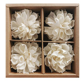 Plawanature Dahlia Sola Flower Diffuser 4 pieces