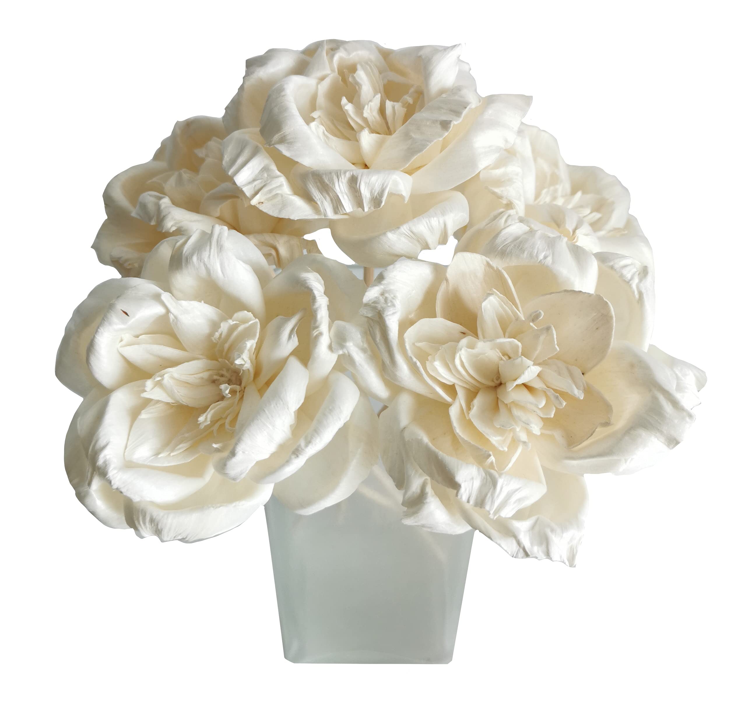 Plawanature Magnolia Gardenia Sola Flower component