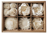 Plawanature reed diffuser packaging with 6 mix Sola Flower