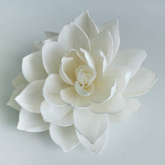 Sesbania wood Sola flower with cotton rope by plawanature