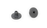 Polaris Quattro P40/Sport retainer screw