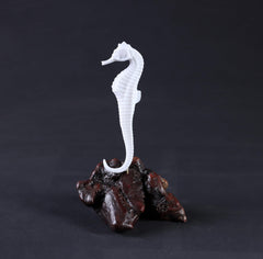 Seahorse measures about 5 inches long on 7 inch tall burl base