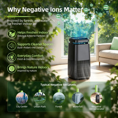 MJ002H true H13 filter and carbon adsorption detail