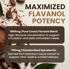 Powered X Plants Premium Dark Cacao flavor product image