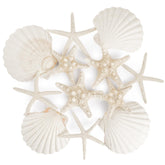 PPCLION natural starfish 4-5 inch set of 12 pieces for crafts