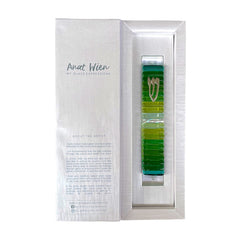 Handmade Judaica mezuzah by Anat Wien glass and acrylic