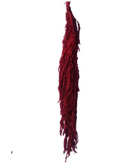 Package of 5 burgundy amaranthus stems dried flowers