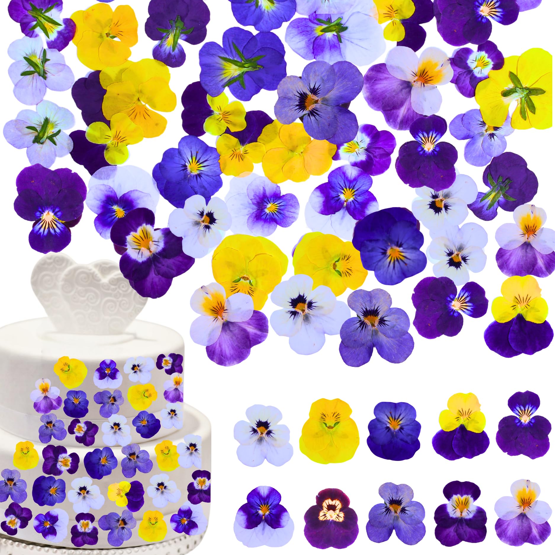 PureHabitat 60 pcs viola tricolor flowers purple variety