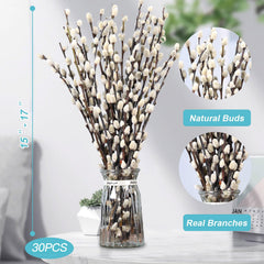 Dried PussyWillow branches 30 stems set