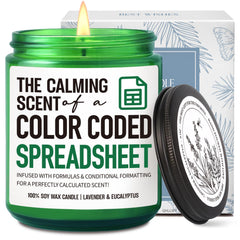 QHLLWTAccountant Candle Gift in a 9-oz glass jar