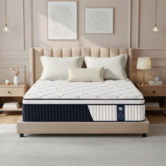 QUENSIYE Queen Mattress 14 Inch hybrid in a box packaging