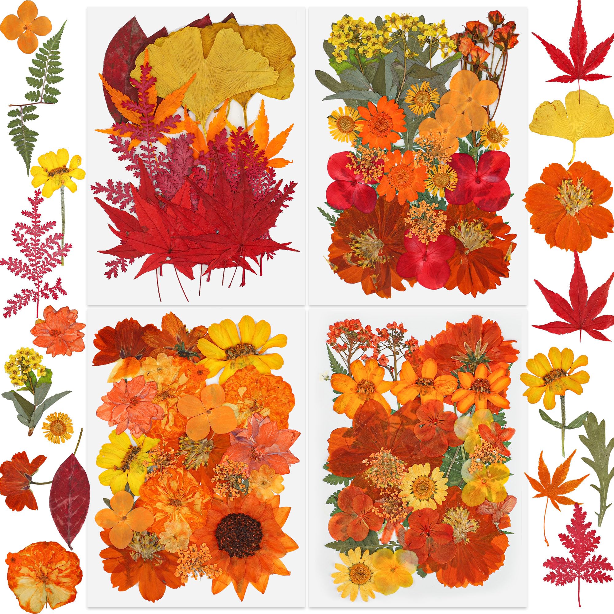 Real fall dried pressed flowers and leaves 100 pcs