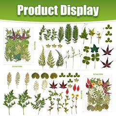 Real pressed flowers and leaves for resin and scrapbooking