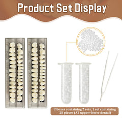 Resin dentures 56-piece set for teaching model