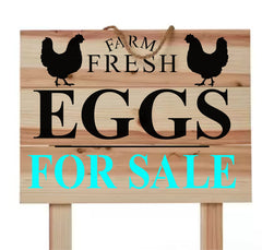 Reusable 18x24 Farm Sign Template for painting