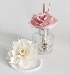 Two white dahlia sola flowers for fragrance diffuser