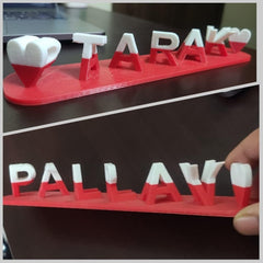 Medium size 8.8 x 1.6 inch roslily double name plate in red/black