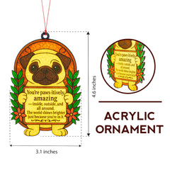 Nearly 4.5-inch ornament hanging in a reading nook
