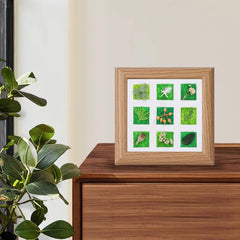 Rustic walnut shadow box frame with clear acrylic