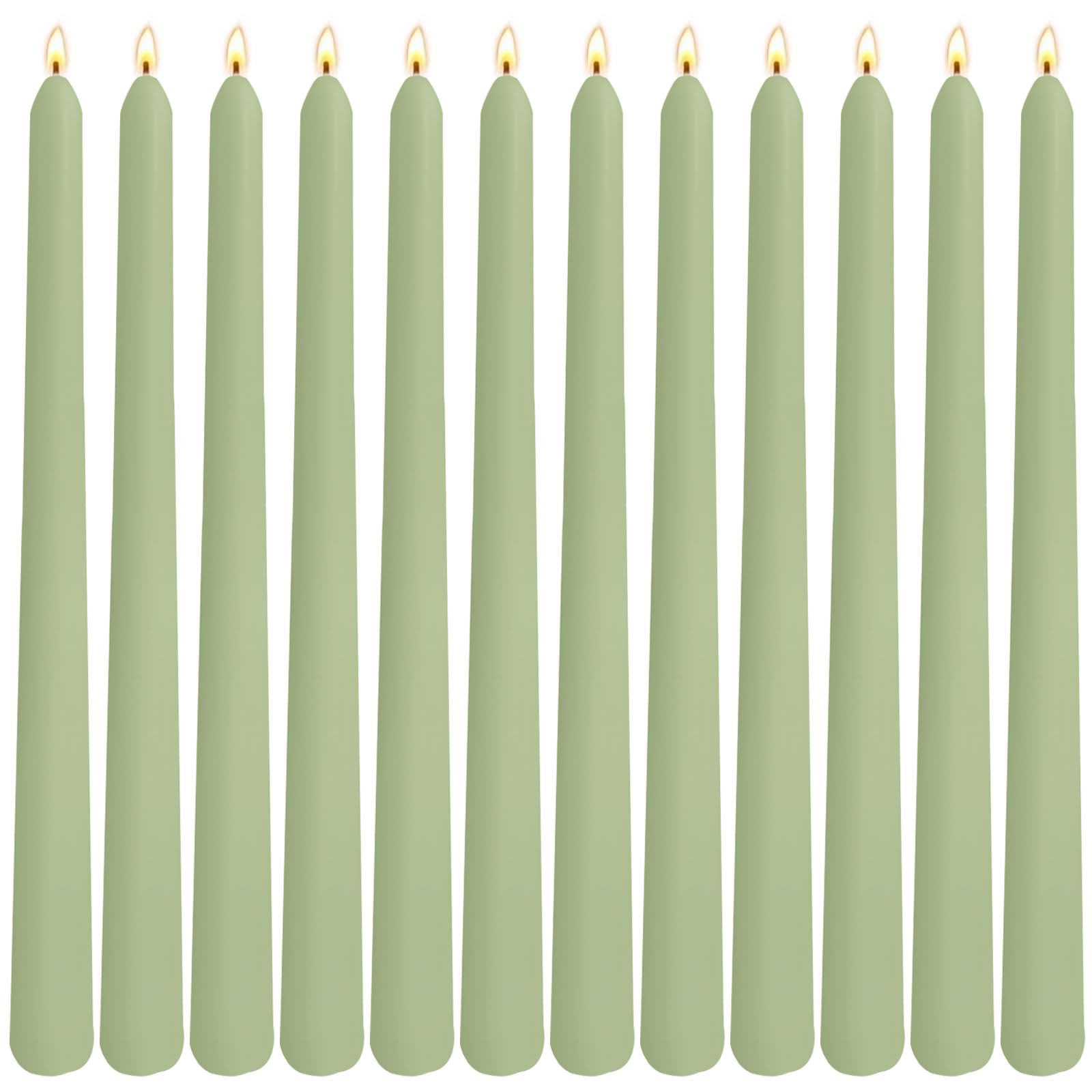 sage green taper candles 12 pack on table