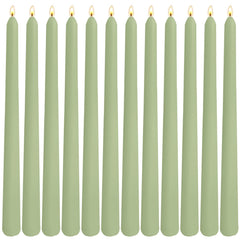 sage green taper candles 12 pack on table