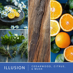 Illusion scent Moodscapes Tranquility 4-Pack wax melt cube