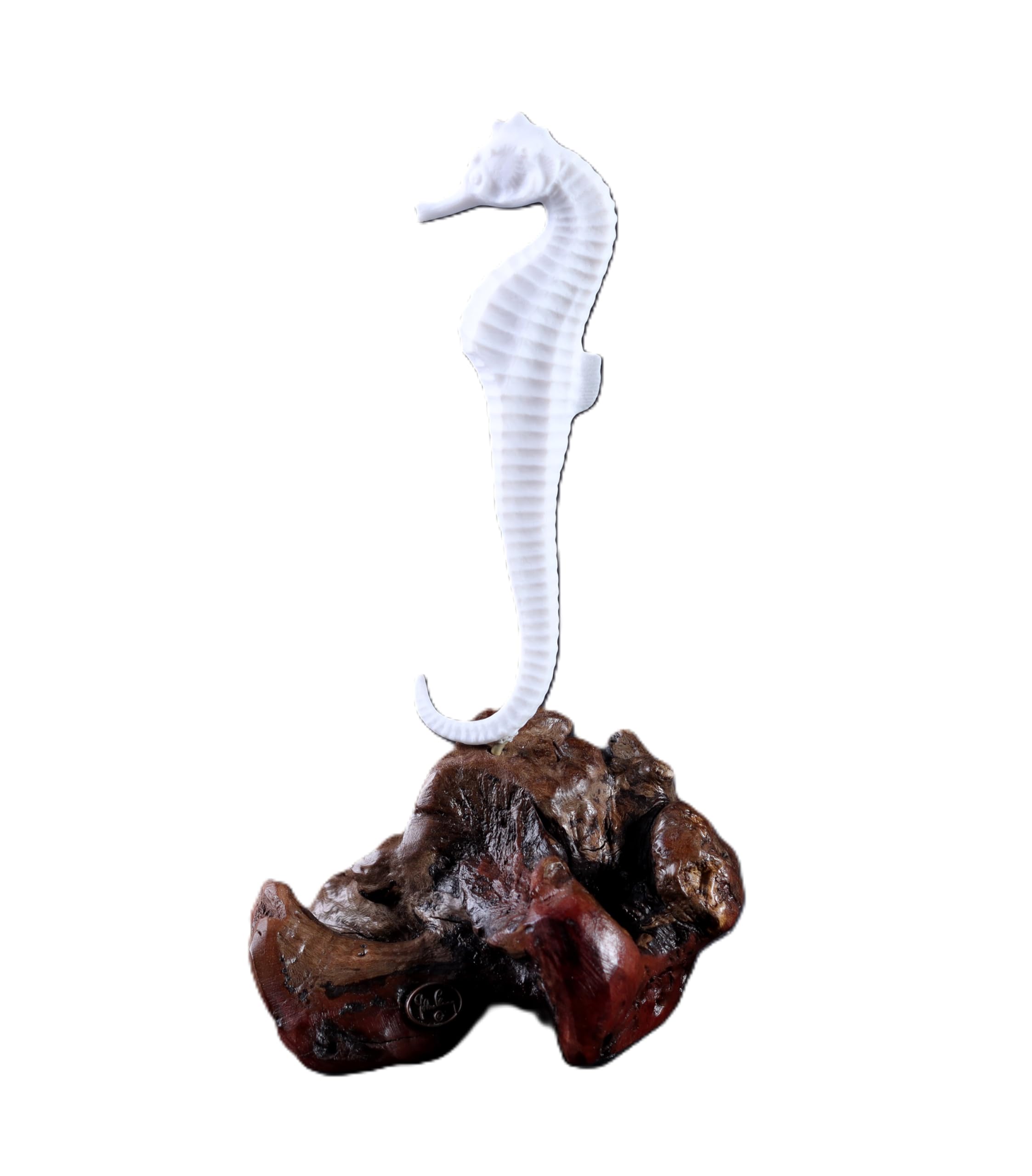 Seahorse sculpture by John Perry Pellucida on polished burl wood base