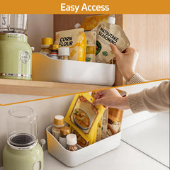 PAVSTINE packet organizer for spices tea bags pantry kitchen