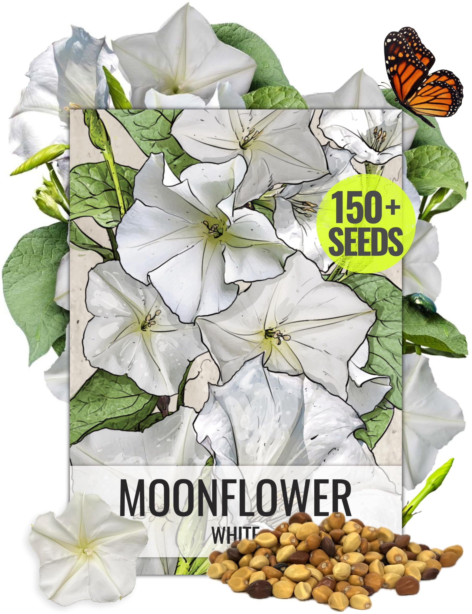 Moonflower vines seed pouch front showing Seed Needs branding and 5x7 inch size