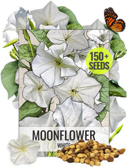 Moonflower vines seed pouch front showing Seed Needs branding and 5x7 inch size
