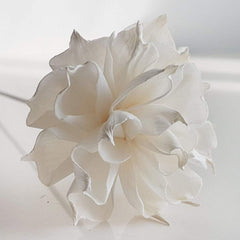 Diffuser set includes 10 Sola Flowers not including vase or fragrance