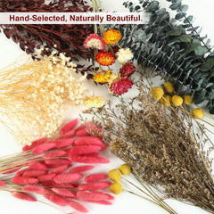 boho fall decor dried flowers for wedding and home